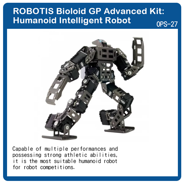 Humanoid Intelligent Robot